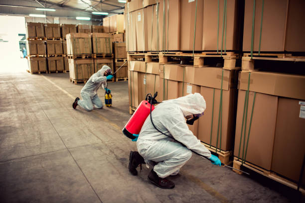 Best Pest Control Near Me  in Hutchinson, MN