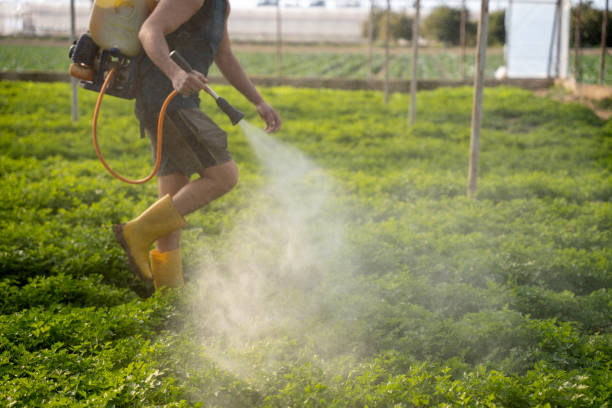 Best Commercial Pest Control Services  in Hutchinson, MN