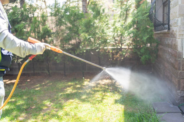 Best Emergency Pest Control  in Hutchinson, MN