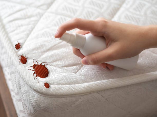 Best Pest Removal Services  in Hutchinson, MN