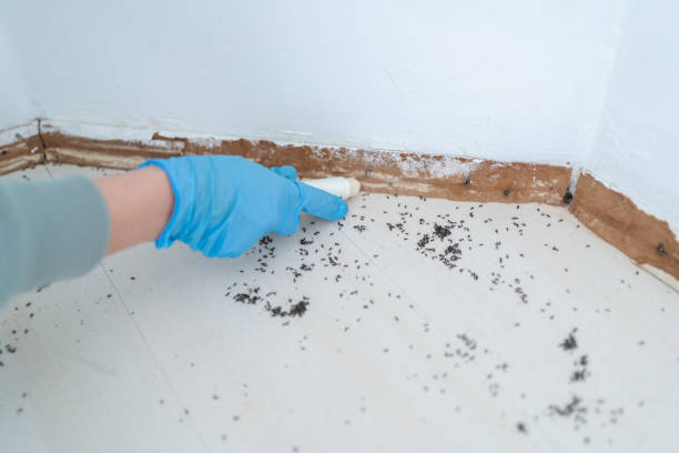 Wildlife Control Services in Hutchinson, MN