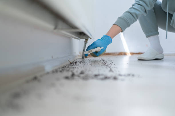 Best Pest Inspection Near Me  in Hutchinson, MN